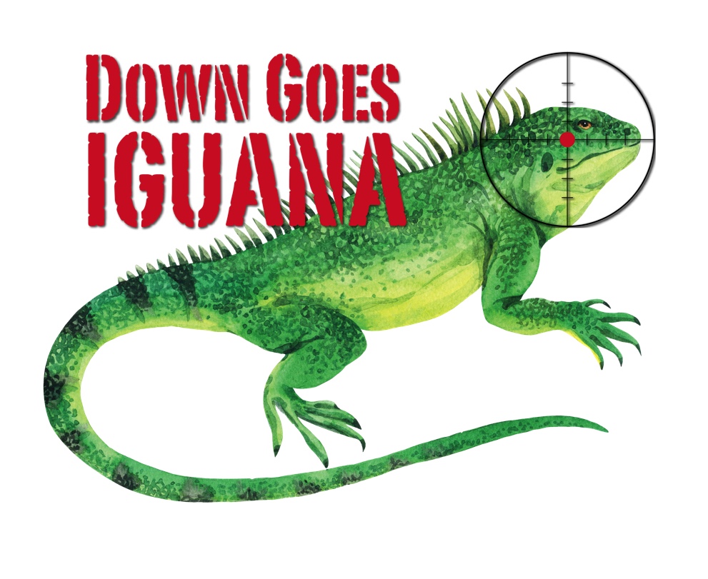 Down Goes Iguana